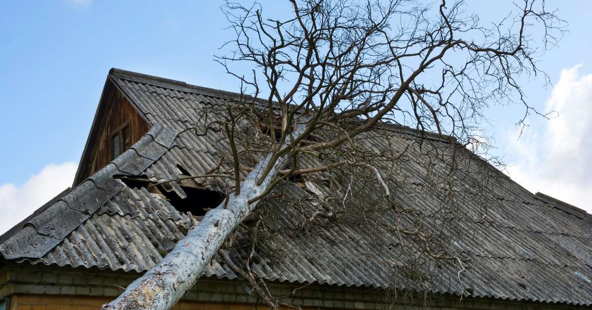 Semmi sem örök és állandó-ami elromolhat, az el is romlik